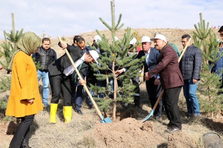 Sivas’ta 16 Yılda 84 Milyon Fidan Dikildi