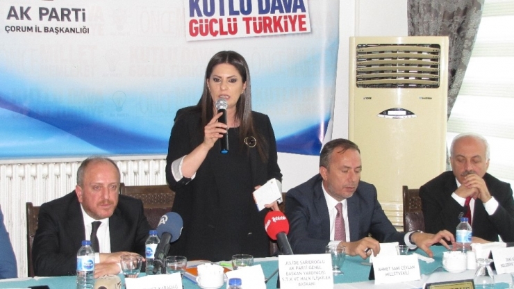 Ak Parti’li Sarıeroğlu Çorum’da Stk Temsilcileriyle Biraraya Geldi