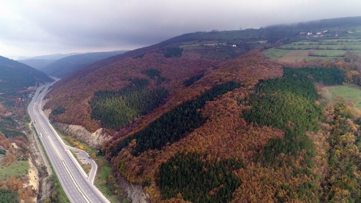 Karadeniz’de Sonbaharda Renk Cümbüşü