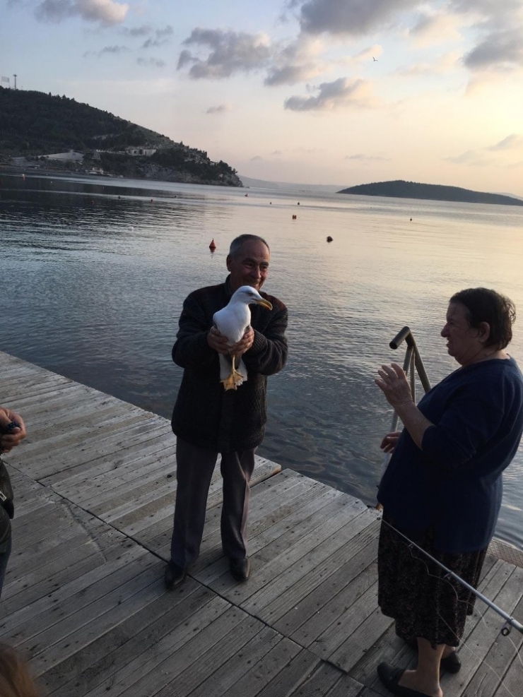 Ava Giden Martı Avlandı