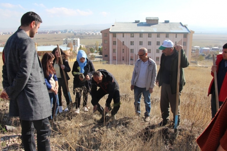 Kyk’lı Öğrenciler Bin Fidanı Toprakla Buluşturdu