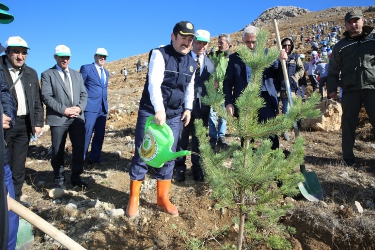 ‘Fidanlar, Fidanlarla Büyüyecek’ Projesi İle 150 Bin Fidan Toprakla Buluştu