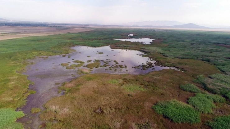 Akşehir Gölü Kurumaktan Kurtulacak