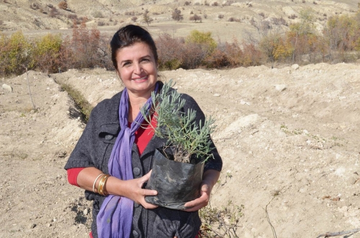 Girişimci Kadın, Köyünü Gül Ve Lavanta Gibi Yapacak