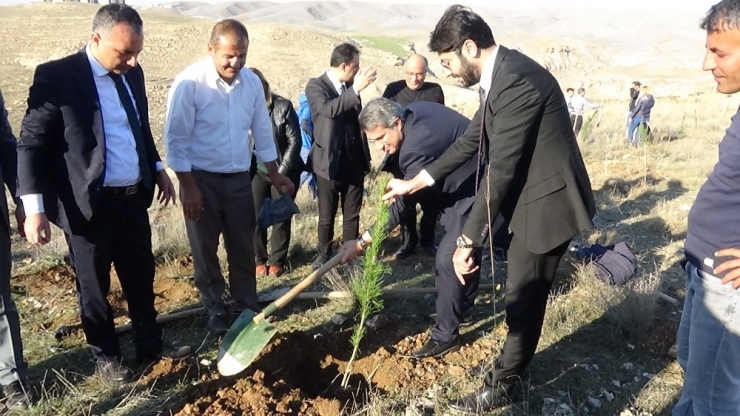 Batman’da ’Her Doğuma Bir Fidan Ormanı’ Oluşturuldu