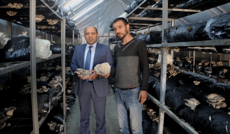 Bafra İşkur’un Verdiği Destekle Hayalleri Gerçeğe Dönüştü