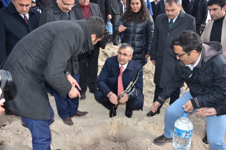 Kırıkkale’ye Lavanta Vadisi