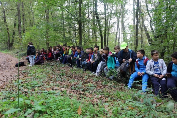 Kocaeli’nin Doğa Kaşifleri Ormanya’da