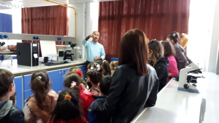 Mikropları Görünce Şaşkına Döndüler