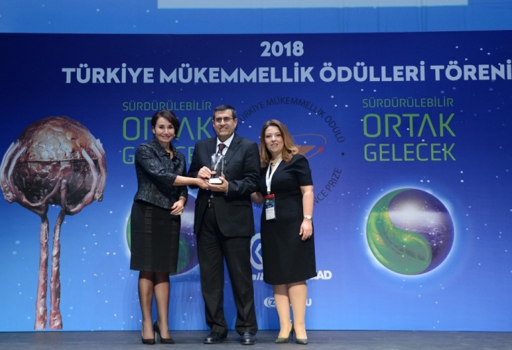 Türkiye Mükemmellik Ödülü Çedaş’ın