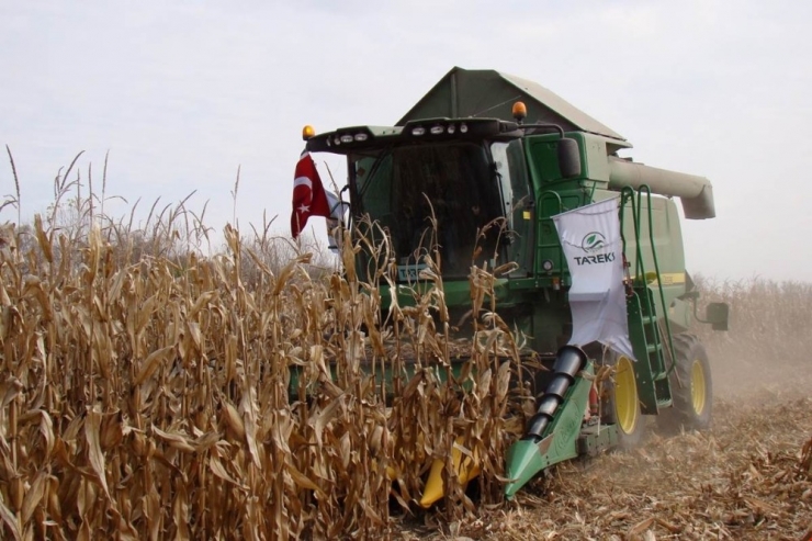 Altıntaş’ta Danelik Mısır Tarla Günü