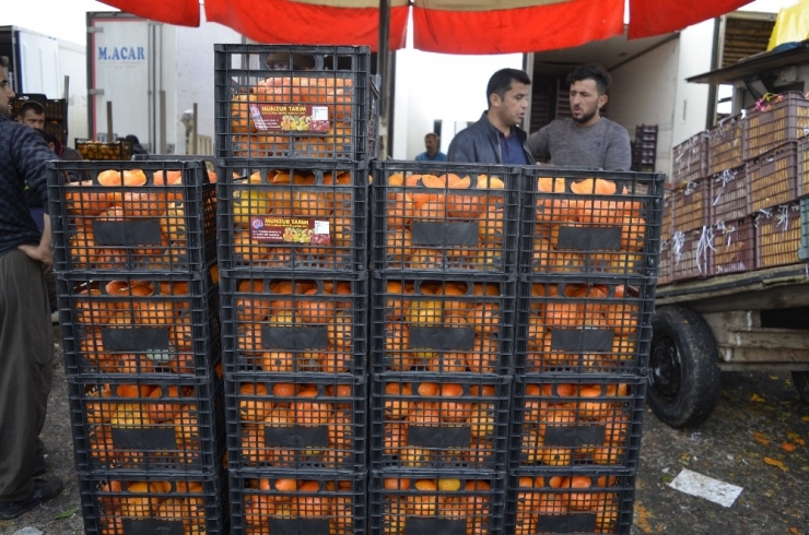 Türkiye’de Yetişen Sebze Ve Meyveler Irak Piyasasının Vazgeçilmezi