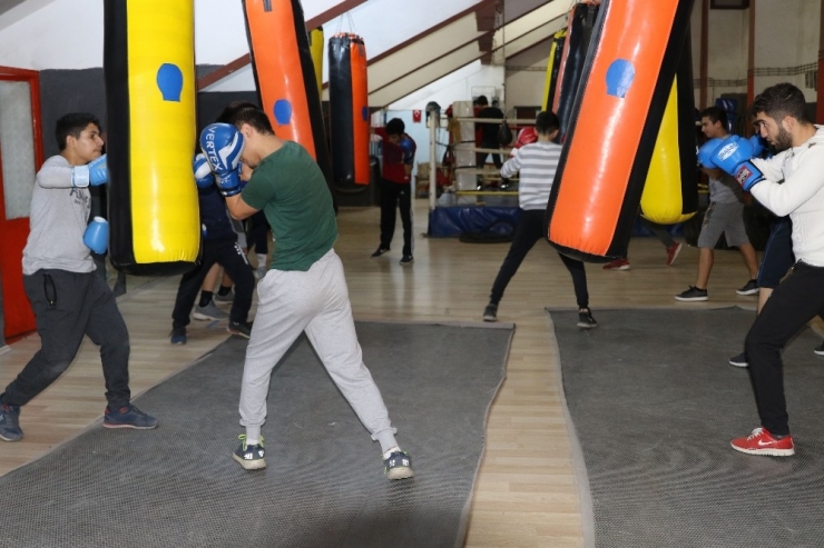 Boksta Yeni Şampiyonlar Yetişiyor