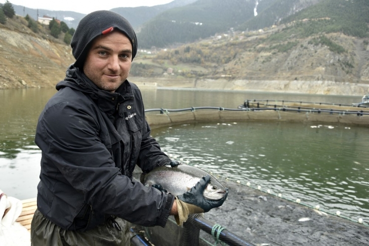 12 Bin Nüfuslu İlçeden Milyon Nüfuslu Ülkelere Balık İhraç Ediliyor