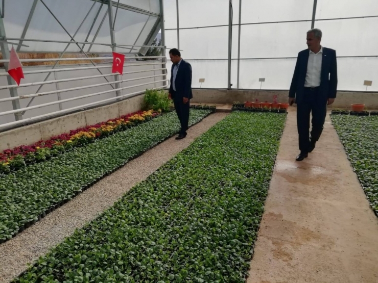 Kilis Çiçek Bahçesi Olacak