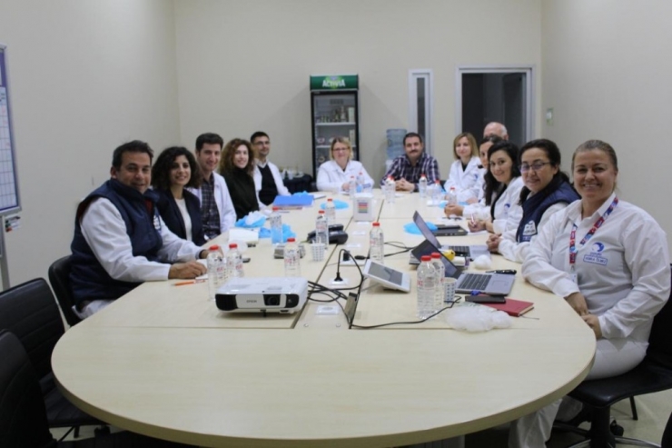 Ab Ülkelerine İhracat Hamlesi