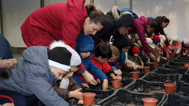 Tohumlar Toprakla Buluştu