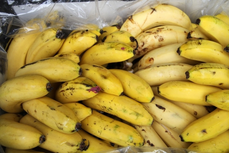 İthal Muz Ve Üretim Arttı, Yerli Muzun Fiyatı Düştü