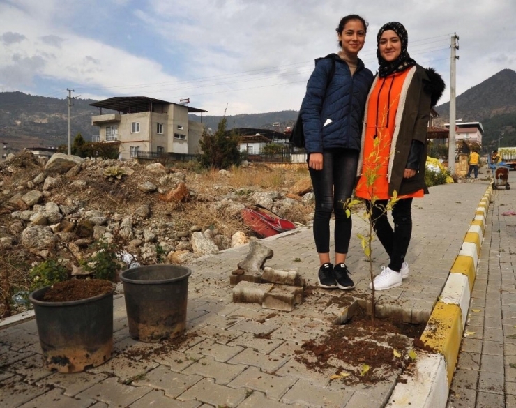 Büyükşehirden Ağaçlandırma Seferberliği