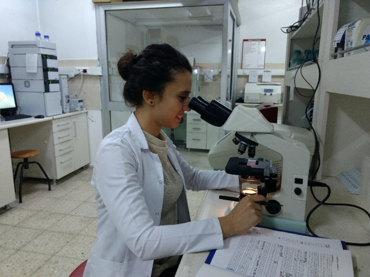 Beü Biyoloji Bölümü Avrupa Aerobiyoloji Ağına Katıldı