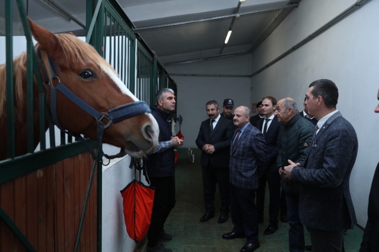 Vali Çakacak Mahmudiye’de İncelemeler Yaptı