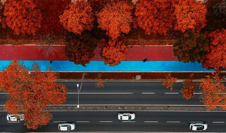 Ordu Sahilinde ‘Sonbahar’ Güzelliği
