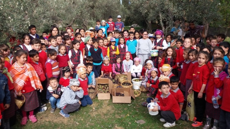 Öğrencileriyle Zeytinyağı Yapıp Hayvanlara Mama Aldı