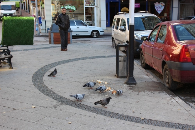 Hayvan Sevgisi Adına Çevre Kirletiliyor