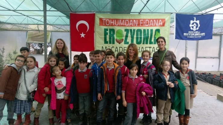 Kartepeli Minikler Meşe Palamudu Tüpledi