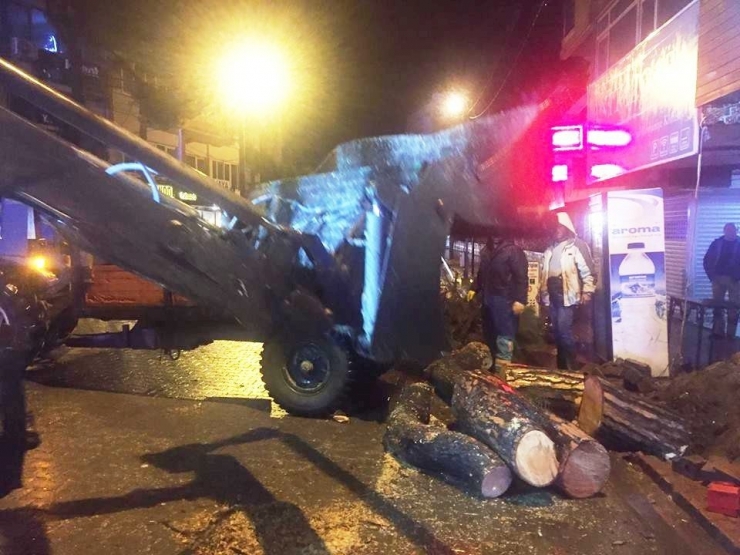 Burhaniye’de Lodosa Dayanamayan Çam Ağacı Yola Devrildi