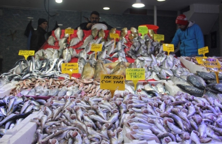 Karadeniz’de Balık Bolluğu