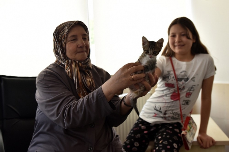 11 Ayda Bin 119 Hayvan Sahiplendirildi.