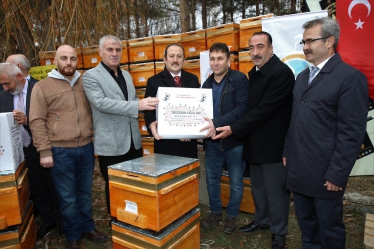 Arı Yetiştiricilerine 3 Bin 200 Organik Kovan Ve Mum Desteği