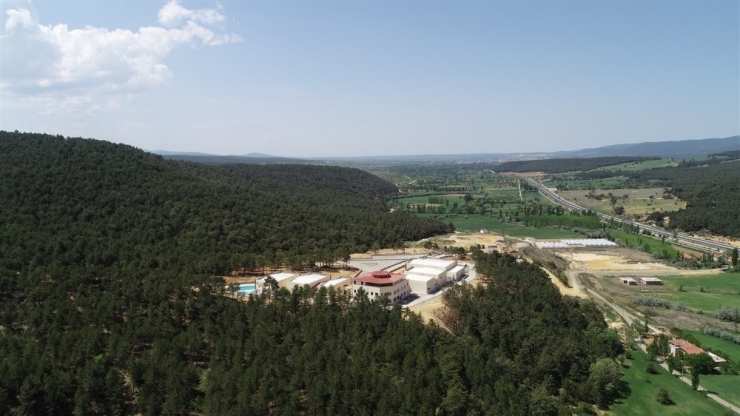 Hamamboğazı’nda Termal Sağlık Kompleksi İçin İlk Adım Atıldı