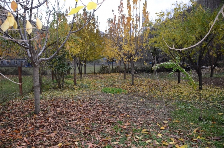 Beytüşşebap’ta Yağış Sonrası Kartpostallık Görüntüler Oluştu