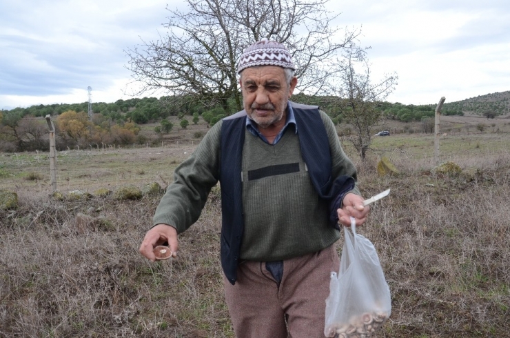 Yağan Yağmur Mantarcıları Sevindirdi