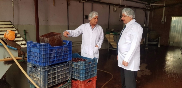 Kebabı Ve Şekeriyle Ünlü Kestaneler İçin Tanıtım Başlatılacak