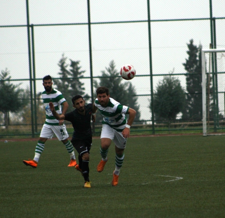 Bölgesel Amatör Ligi