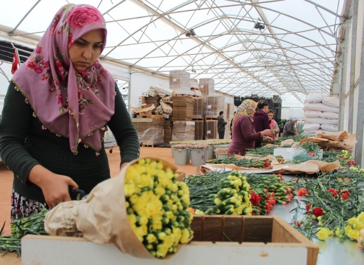 Avrupa’nın Çiçeği Antalya’dan