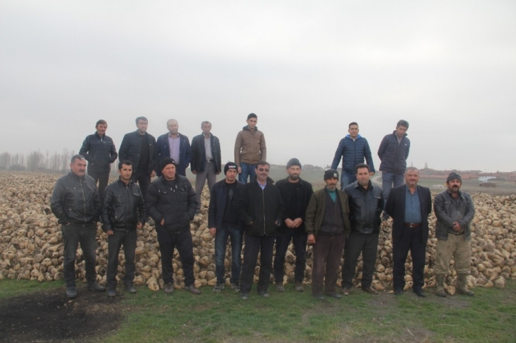 Pancar Üreticisi Kota Mağduru Oldu