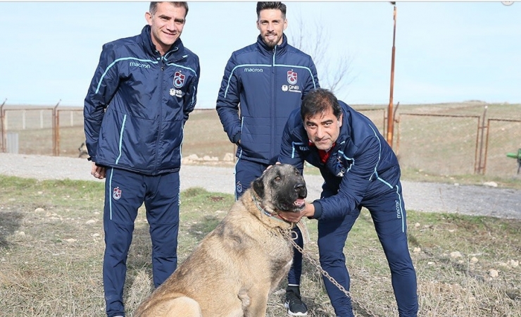 Karaman Ve Sosa, Kangal Çiftliğini Ziyaret Etti