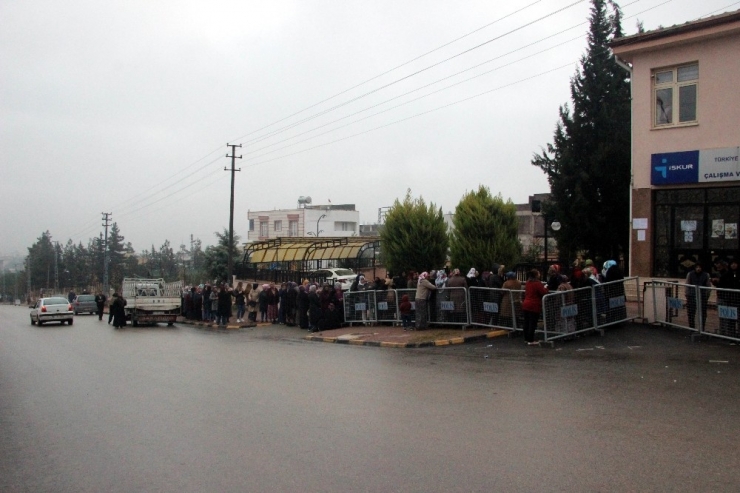 Kilis’te 6 Aylık İş İçin Uzun Kuyruklar Oluştu