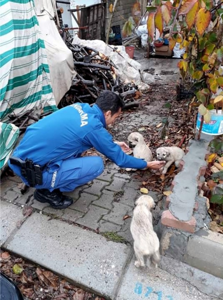 Askerin Minik Yavrulara Şefkati