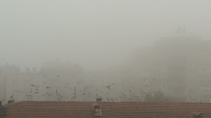 Şanlıurfa’da Son Yılların En Yoğun Sisi Hayatı Olumsuz Etkiledi