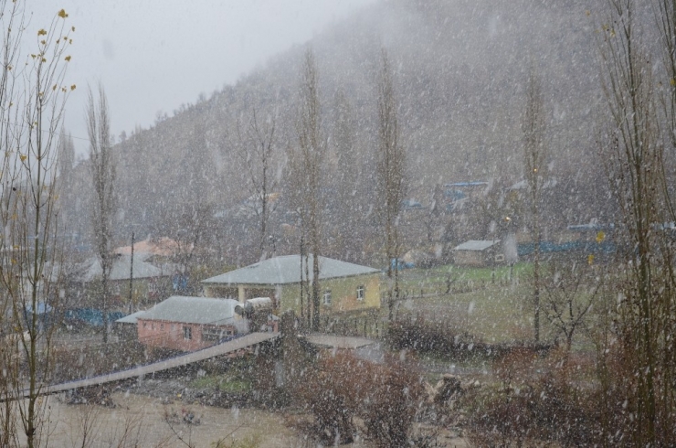 Beytüşşebap’ta Kar Yağışı Etkili Oldu