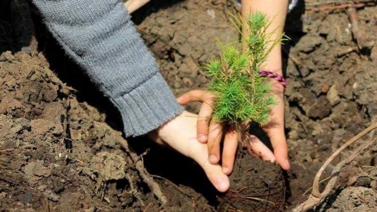 Kalınsaz; “Toprağı Koruyamazsak İklimi Koruyamayız”