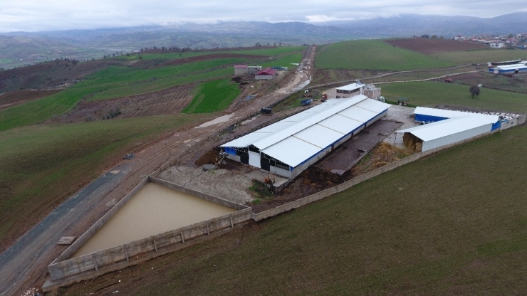 Gübre Maliyetini ’Sıfır’ladı