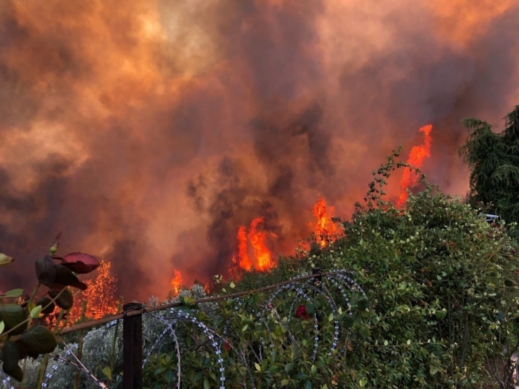 Ak Parti Bursa Milletvekili Mustafa Esgin: