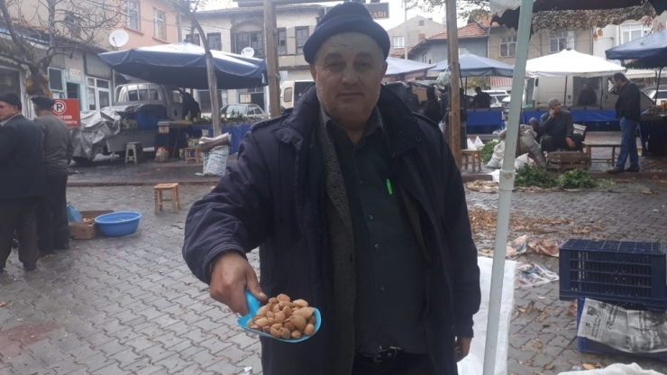 Bin 700 Rakımda Yetişen Bademler Şifa Kaynağı