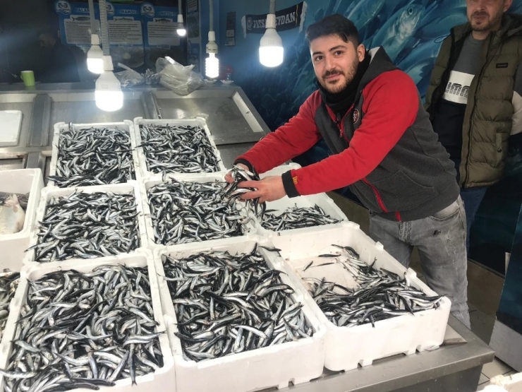 Hamsi Satışlarında Patlama Yaşanıyor
